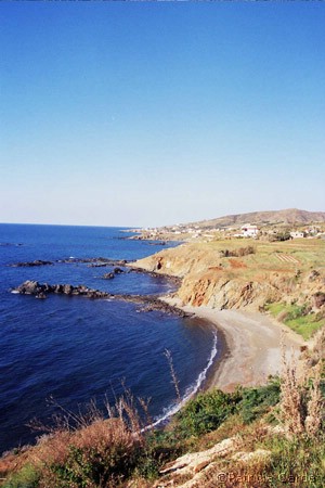 Cyprus, Akamas, 2005 - Photo: Patricia Cardet