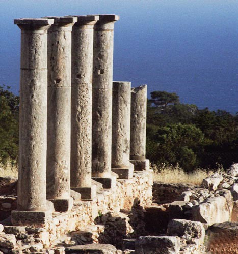 Cyprus, Kourion, Sanctuaire d'Apollon, 2005 - Photo: Patricia Cardet